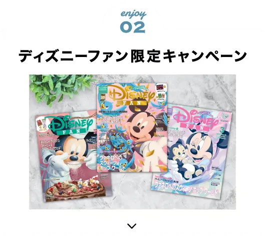 ディズニーファン限定キャンペーン